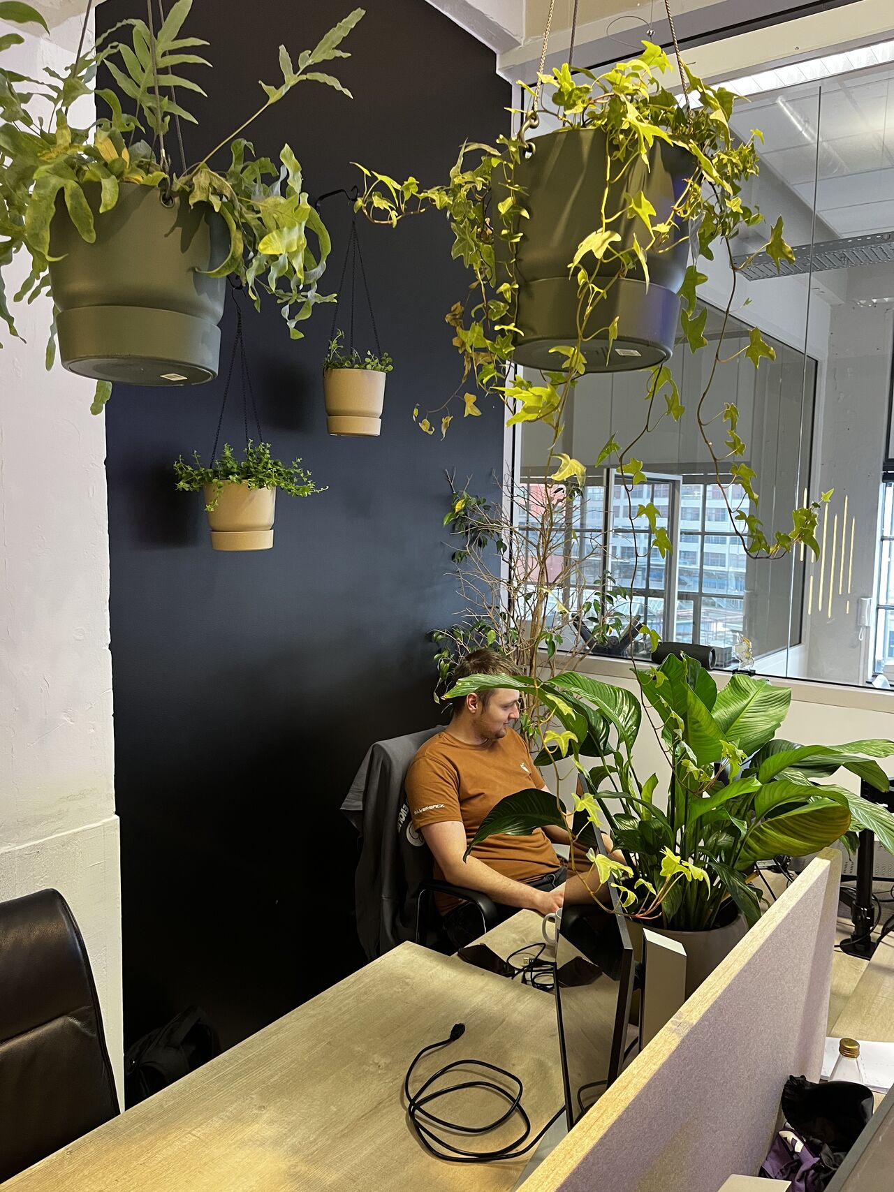 Sowieso een groene kerst!

Wat een jaar met 2x verhuizen, groeien, bijsturen en weer groeien. 
(Dit is de korte versie van de reflectie, heb zo kerstlunch met collega's aka worstenbroodjes en soep).

Het is niet vanzelf gegaan met we zijn op een goeie plek. 
En Rowan wilde een jungle. Die heeft ie nu. 

En ohja voor de 'oplettende kijker': boompje op de achtergrond is een weesboom. Wat weinig mensen weten is dat Rowan niet alleen programmeervingers heeft maar ook groene vingers. Hij kweekt deze gekke boom weer tot een groene plant.

Love the zorgzaamheid. Doe dat ook lekker wat meer met Kerst. Is toch fijn.

We zijn gesloten tot en met 1 januari. Vanaf 2 januari staan we weer voor je klaar.

#nutzy #jaartjehoor #genzelligheid