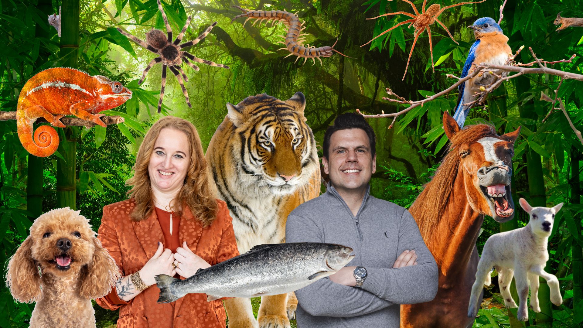 Het komt… het komt… het komt eraan: het tweede Grote Vacatureteksten Onderzoek.

Wil jij als een van de eersten de resultaten van dit onderzoek ontvangen? Laat dit nu vast weten via deze link: https://lnkd.in/eRV9MdpW

Over het onderzoek
Op dit moment slaapt Nicol Tadema eigenlijk niet meer want ze is meer dan 1.000 teksten van uiteenlopende vacatures, op diverse niveaus en in 10 sectoren aan het onderzoeken. 
De onderzoeksvraag: hoe is de kwaliteit van de vacaturetekst?

2 jaar geleden deden we een soortgelijk onderzoek. Toen scoorde de vacaturetekst met een 4,2 gemiddeld nog een dikke, vette onvoldoende. Benieuwd of het meest gebruikte middel in arbeidsmarktcommunicatie nu wél een voldoende scoort? En hoe jouw sector het ervan afbrengt?

Zet jezelf hier op de lijst voor de resultaten van het Grote Vacatureteksten Onderzoek 2026. Ik verwacht dat deze begin februari worden gedeeld.

Wij maken met Nutzy | by Purple Squirrel Effect dit onderzoek mede mogelijk omdat we het belangrijk vinden dat jonge generaties een goed beeld krijgen van het werk wat ze gaan doen.

#onderzoek #vacatureteksten #nutzy