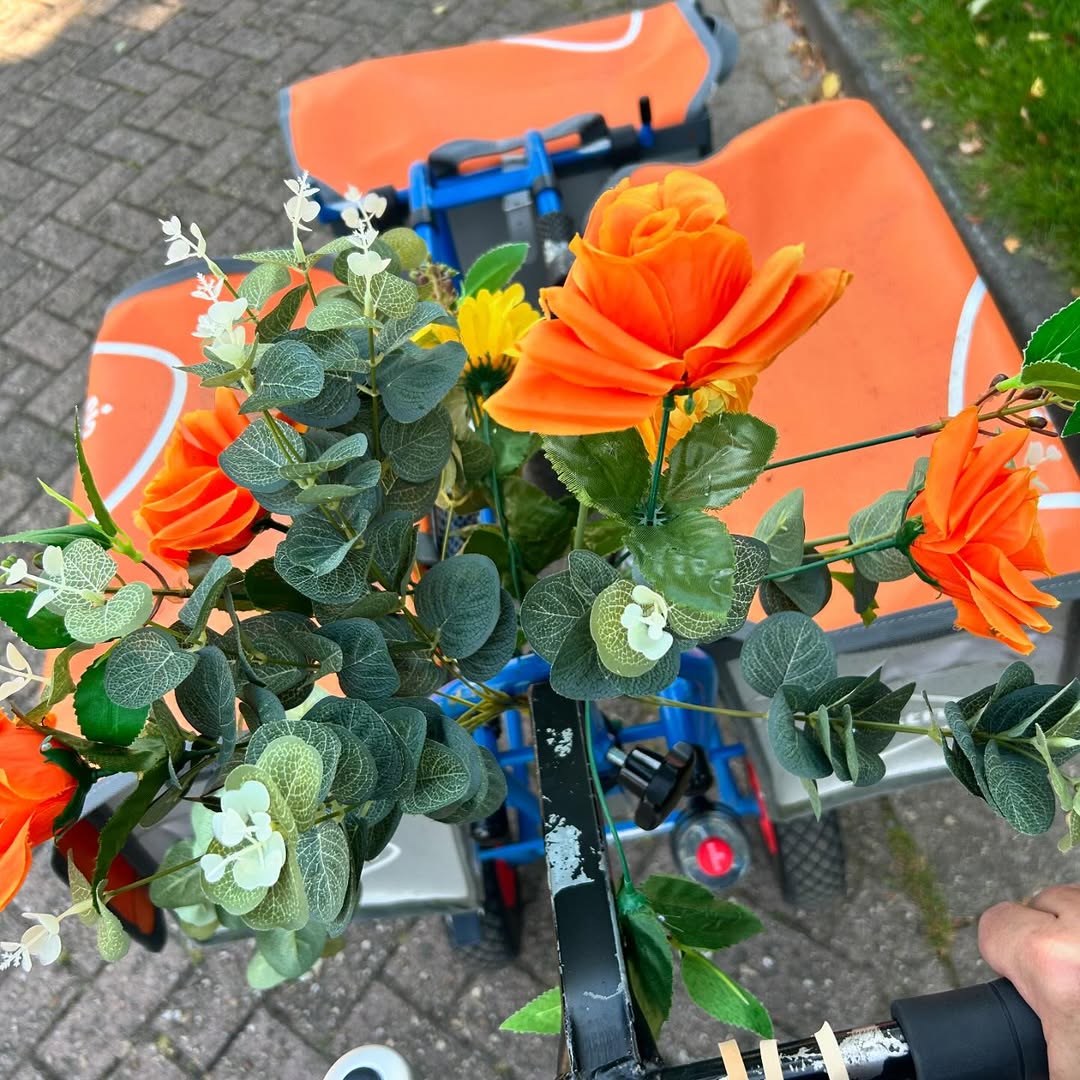 8 weken na operatie weer een beetje aan de wandel @postnl met de postkar van @vrouwkepost. Zo fijn dat ik die even mag gebruiken. Werkt tevens als rollator 😂
Nu lekker opbouwen en genieten van het weer ☀️ 🌺 
#werkenbijpostnl #genieten #zomer