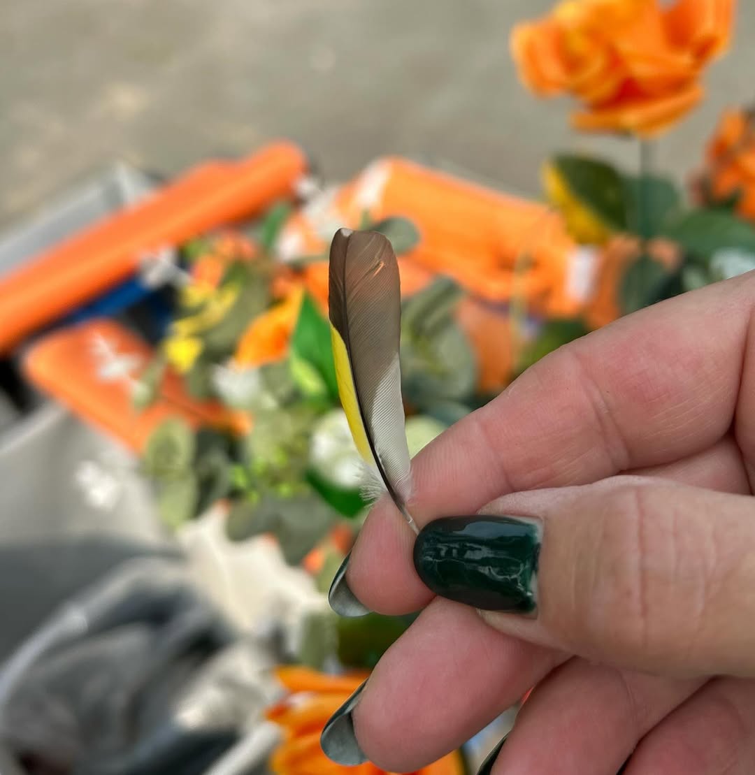 Cadeautjes onderweg tijdens mijn eerste piekwijk, 2 maanden na mijn operatie. Erg moe maar voldaan. 
#cadeautjes #veertje #vogelveertje #werkenbijpostnl @postnl #moemaarvoldaan