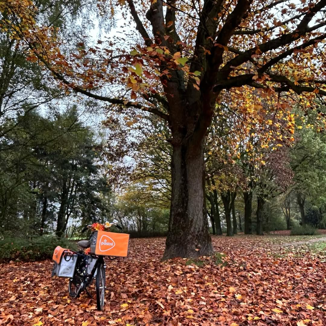 Mijn favoriete seizoen. @postnl #herfst #herfstkleuren #seizoen #werkenbijpostnl
