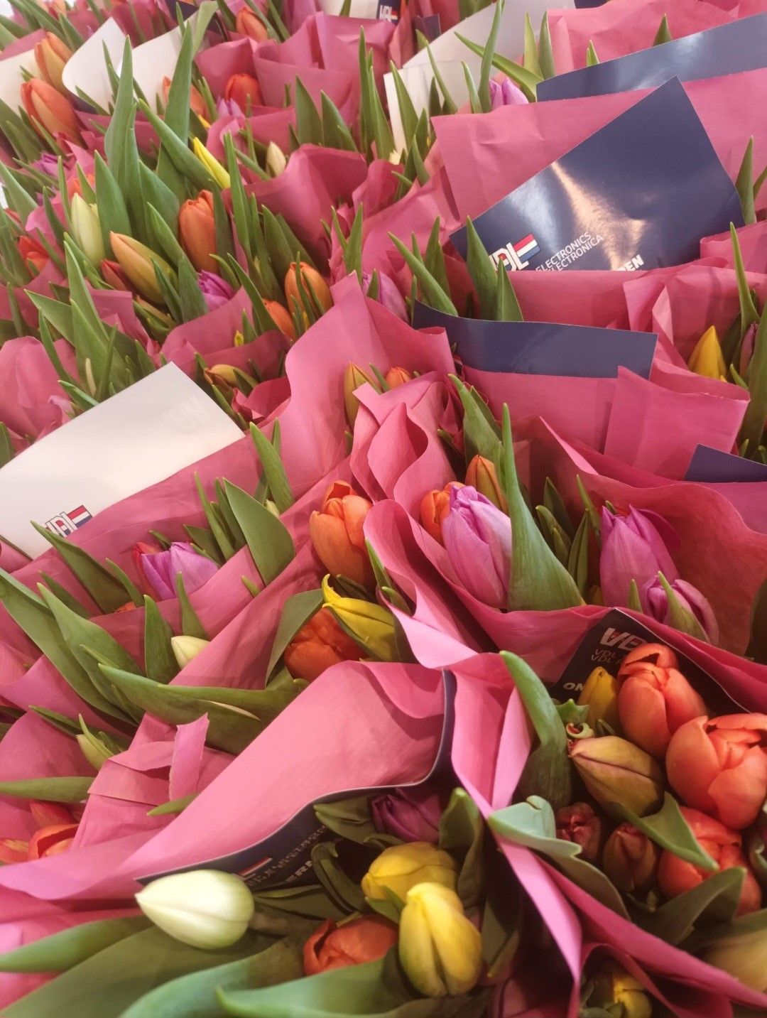 🐰 Paaspresentje 🐰

Om onze medewerkers te bedanken voor hun dagelijkse inzet, kregen zij als presentje een kleurrijk bosje tulpen. 

Vrolijke Paasdagen gewenst 🌷

#pasen #werkenbijvdl #vdltbpelectronics #cadeau 