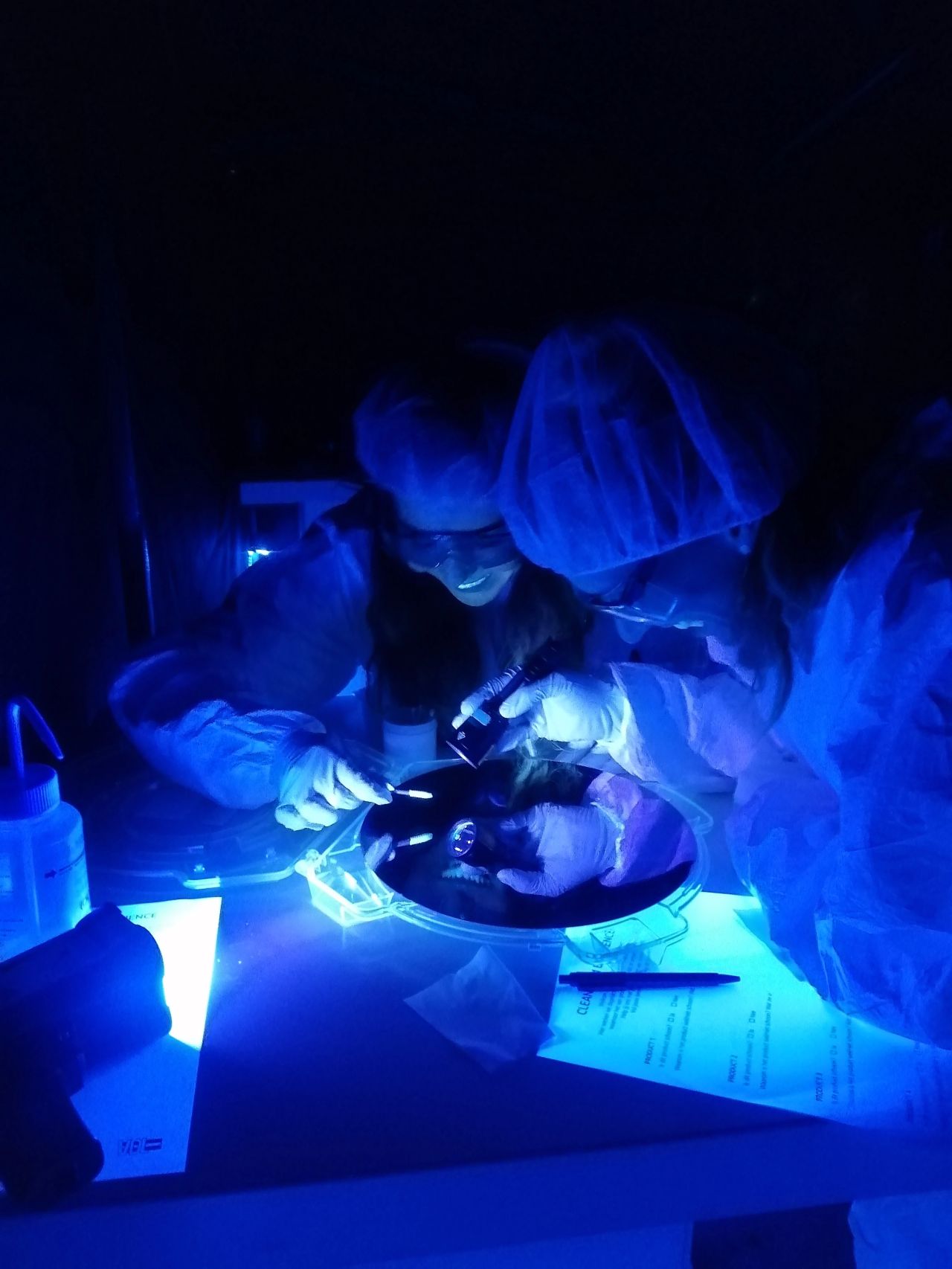 Aanstaande wekend is:
Wekend van wetenschap 
door hele land en Eindhoven doet ook mee.
VDL ETG doet zeker mee! 
Waar: locatie Sint Lucas.
Ik ga jonge en oudere deelnemers nemen in geïmproviseerd clean room waar we samen op zoek zijn aan partikels en vervuiling.
Echte "particle hunting" !!!
Lichten gaan uit, spanning bij deelnemers stijgt... magie van UV lampen starten hun show...
Welkom in de wereld van partikels!!!
Met glimlacht op hun gezichten wordt hard gewerkt om producten schoon te krijgen...
4 oktober aantaande in Sint Lucas
Ik kan niet wachten. 
Dan zie ik je aanstaande zaterdag!
#werkenbijVDL #cleanroom #partikels #VDLETG #VDLgroep #particlehunting 
#techniekpromotie #TechFunDay