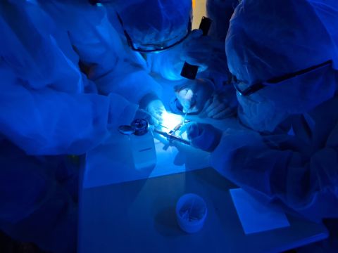 Laatste evenement voor 2025 is klaar.
Wat een mooie afsluiting van het jaar.
Cleanroom experience workshop werkt.
Honderden leerlingen hebben eerste stappen gezet in geïmproviseerde cleanroom op hun locatie:
Stedelijk College Eindhoven 
Meerdere docenten deden ook mee.
Top dag! 
Top team!
samen met Benjamin A. Romero 
hebben we leerlingen besmet met cleanroom regels en cleanroom gedrag.
"real rarticle hunting"
tot snel in 2026
Techniekpromotie doe je met je HART 
#werkenbijvdl #vdletg #vdlgroep #cleanroom #ontdekken #leren #verbinding